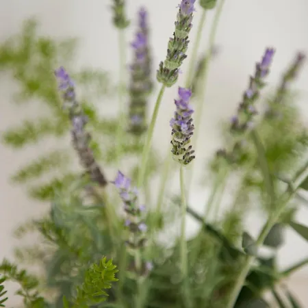 Hotel Tenuta Centoporte Otrante