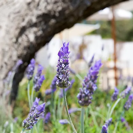 Tenuta Centoporte Hotel Otrante