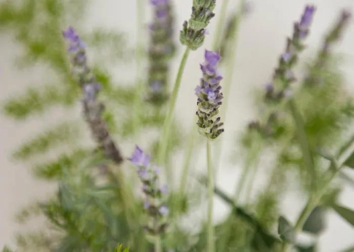 Hotel Tenuta Centoporte Otranto